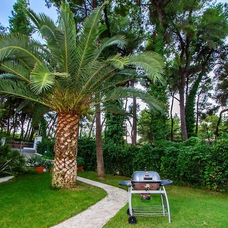 Muses Sani (Chalkidiki)