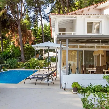 Muses * סאני ביץ'